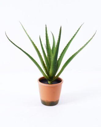 Artificial Plant 42*40cm Aloe in pp pot/10lvs GS-59522005 Potted Flowers&Plants YeahFlower is one of Chinese leading OEM manufacturers and exporters , supplying the silk flowers, wholesale artificial trees