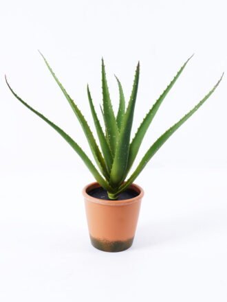 Artificial Plant 52*52*55cm Aloe*5 in pp pot/35lvs GS-59522003 Potted Flowers&Plants 3,000+ sqm showroom with thousands of artificial flowers, plants & trees ready for global sourcing.