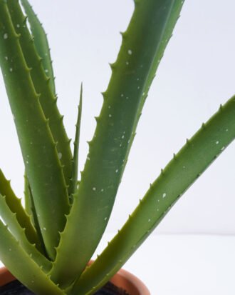 Artificial Plant 42*40cm Aloe in pp pot/10lvs GS-59522005 Potted Flowers&Plants YeahFlower is one of Chinese leading OEM manufacturers and exporters , supplying the silk flowers, wholesale artificial trees