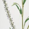 Artificial Plant 10*90cm Buntal fibre(L) GVC-21-2779 Leaves&Sprays&Foliages 3,000+ sqm showroom with thousands of artificial flowers, plants & trees ready for global sourcing.