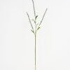Artificial Plant 10*90cm Buntal fibre(L) GVC-21-2779 Leaves&Sprays&Foliages 3,000+ sqm showroom with thousands of artificial flowers, plants & trees ready for global sourcing.