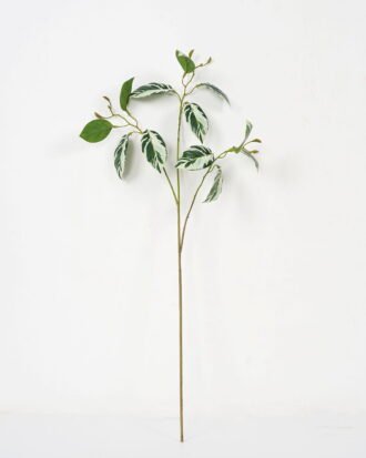 Artificial Plant 28*72cm Calathea zebrina spray*3 GVC-22-2847-G2 Leaves&Sprays&Foliages YeahFlower is one of Chinese leading OEM manufacturers and exporters , supplying the silk flowers, wholesale artificial trees