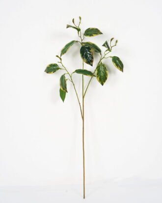 Artificial Plant 28*72cm Calathea zebrina spray*3 GVC-22-2847-G4 Leaves&Sprays&Foliages YeahFlower is one of Chinese leading OEM manufacturers and exporters , supplying the silk flowers, wholesale artificial trees