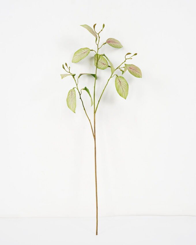 Artificial Plant 28*72cm Calathea zebrina spray*3 GVC-22-2847 Leaves&Sprays&Foliages YeahFlower is one of Chinese leading OEM manufacturers and exporters , supplying the silk flowers, wholesale artificial trees