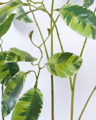 Artificial Plant 45*115cm Calathea zebrina spray*3 GVC-22-2852-G3 Leaves&Sprays&Foliages YeahFlower is one of Chinese leading OEM manufacturers and exporters , supplying the silk flowers, wholesale artificial trees