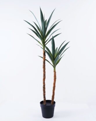 Artificial Plant 56*52*129cm Century plant*2 in pe pot GS-59522004 Tree&Plant YeahFlower is one of Chinese leading OEM manufacturers and exporters , supplying the silk flowers, wholesale artificial trees