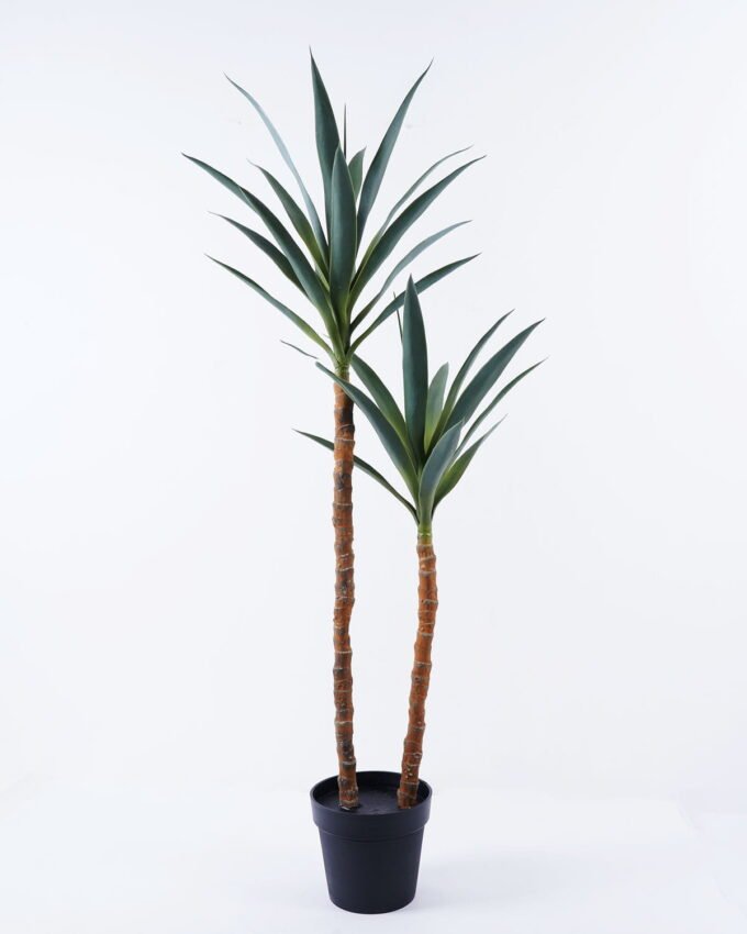 Artificial Plant 56*52*129cm Century plant*2 in pe pot GS-59522004 Tree&Plant YeahFlower is one of Chinese leading OEM manufacturers and exporters , supplying the silk flowers, wholesale artificial trees