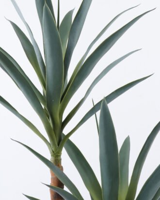 Artificial Plant 56*52*129cm Century plant*2 in pe pot GS-59522004 Tree&Plant YeahFlower is one of Chinese leading OEM manufacturers and exporters , supplying the silk flowers, wholesale artificial trees