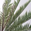 Artificial Plant 35*46cm Cycad leaves*18 GS-62021032-G2 Leaves&Sprays&Foliages YeahFlower is one of Chinese leading OEM manufacturers and exporters , supplying the silk flowers, wholesale artificial trees