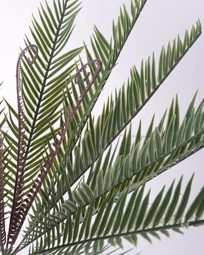 Artificial Plant 35*46cm Cycad leaves*18 GS-62021032-G2 Leaves&Sprays&Foliages YeahFlower is one of Chinese leading OEM manufacturers and exporters , supplying the silk flowers, wholesale artificial trees