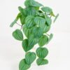 Artificial Plant 18*40CM Leaves hanging*7 GS-14521021-G1 Potted Flowers&Plants YeahFlower is one of Chinese leading OEM manufacturers and exporters , supplying the silk flowers, wholesale artificial trees