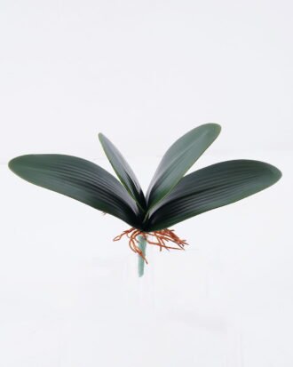 Artificial Plant 22*17cm Orchid leaves*4 GS-66922001 Leaves&Sprays&Foliages YeahFlower is one of Chinese leading OEM manufacturers and exporters , supplying the silk flowers, wholesale artificial trees