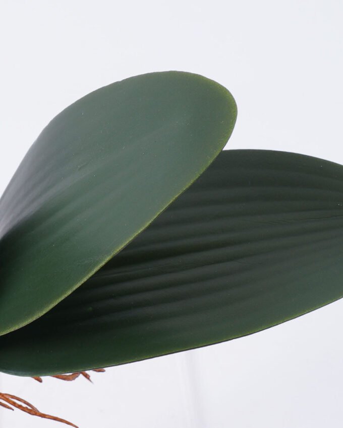 Artificial Plant 22*17cm Orchid leaves*4 GS-66922001 Leaves&Sprays&Foliages YeahFlower is one of Chinese leading OEM manufacturers and exporters , supplying the silk flowers, wholesale artificial trees