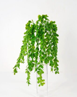 Artificial Plant 17*62cm Plastic vine*5 GS-62021021-G1 Banners&Garlands YeahFlower is one of Chinese leading OEM manufacturers and exporters , supplying the silk flowers, wholesale artificial trees