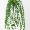 Artificial Plant 18*66cm Plastic vine*7 GS-62021030 Leaves&Sprays&Foliages YeahFlower is one of Chinese leading OEM manufacturers and exporters , supplying the silk flowers, wholesale artificial trees