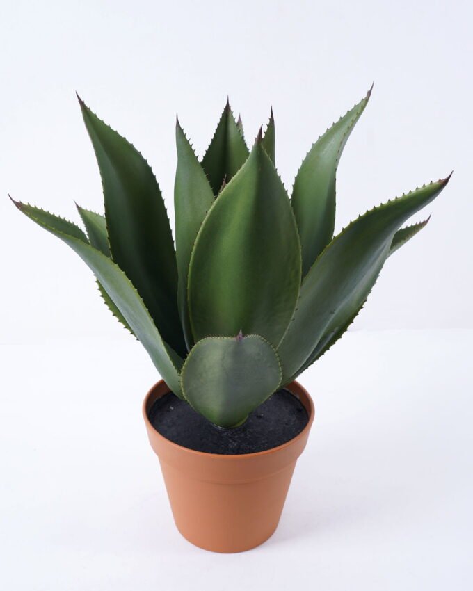 Artificial Plant 47*47*51cm Potted tree in pe pot/13lvs GS-59522002 Potted Flowers&Plants YeahFlower is one of Chinese leading OEM manufacturers and exporters , supplying the silk flowers, wholesale artificial trees