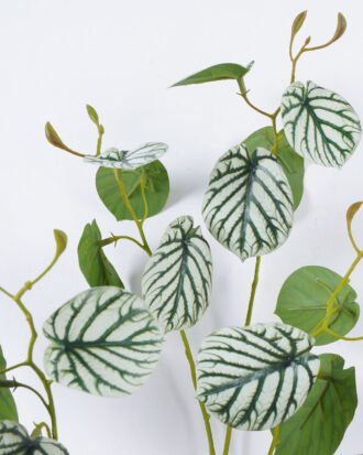 Artificial Plant 40*118cm Rhino arum leaves spray*3 GVC-22-2854-G3 Leaves&Sprays&Foliages YeahFlower is one of Chinese leading OEM manufacturers and exporters , supplying the silk flowers, wholesale artificial trees