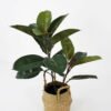 Artificial Plant 41*41*55cm Rubber tree in basket GS-30622006-G1 Potted Flowers&Plants YeahFlower is one of Chinese leading OEM manufacturers and exporters , supplying the silk flowers, wholesale artificial trees