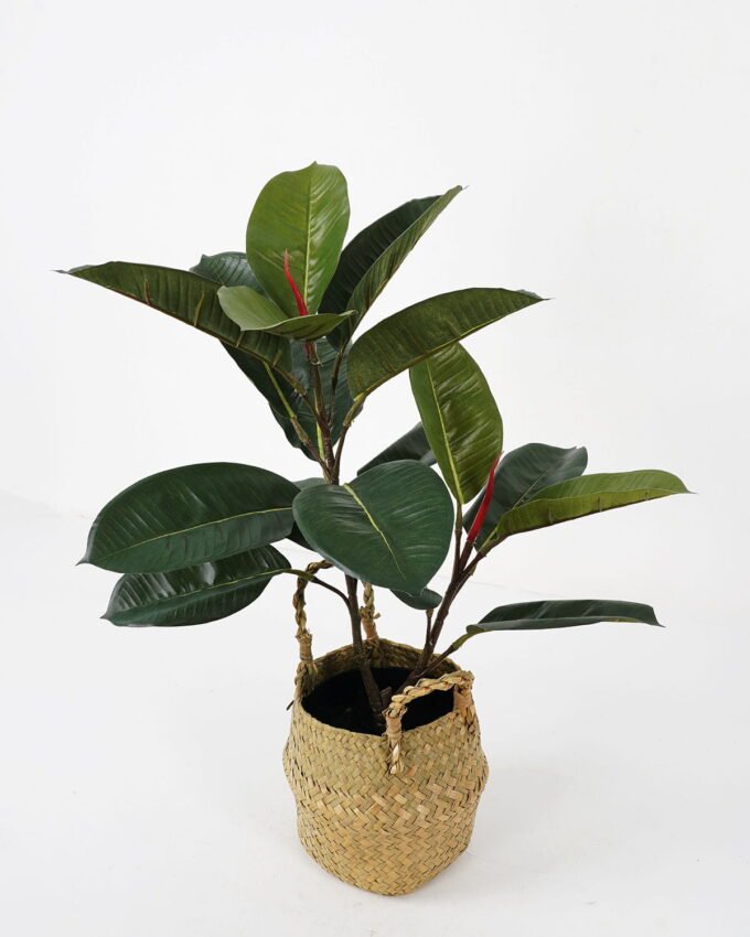 Artificial Plant 41*41*55cm Rubber tree in basket GS-30622006-G1 Potted Flowers&Plants YeahFlower is one of Chinese leading OEM manufacturers and exporters , supplying the silk flowers, wholesale artificial trees