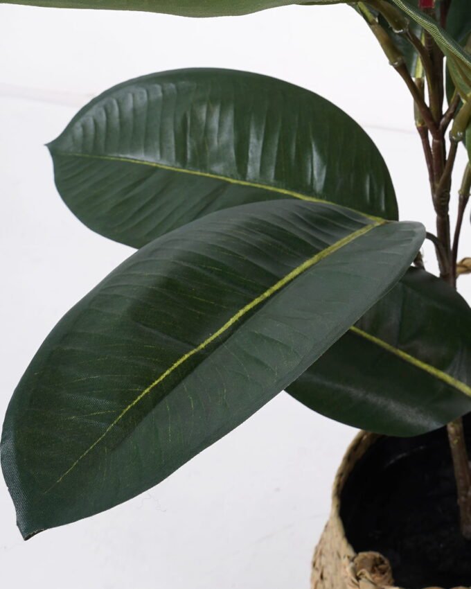Artificial Plant 41*41*55cm Rubber tree in basket GS-30622006-G1 Potted Flowers&Plants YeahFlower is one of Chinese leading OEM manufacturers and exporters , supplying the silk flowers, wholesale artificial trees