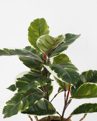 Artificial Plant 41*41*55cm Rubber tree in basket GS-30622006-G2 Potted Flowers&Plants YeahFlower is one of Chinese leading OEM manufacturers and exporters , supplying the silk flowers, wholesale artificial trees
