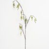 Artificial Plant 37*97cm Sorosis(L) GVC-21-2786 Leaves&Sprays&Foliages 3,000+ sqm showroom with thousands of artificial flowers, plants & trees ready for global sourcing.