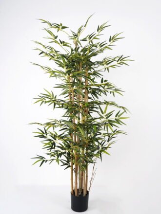 Artificial Tree 75*75*180cm bamboo*7in pp pot GS-30622013 Tree&Plant 3,000+ sqm showroom with thousands of artificial flowers, plants & trees ready for global sourcing.