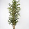 Artificial Tree 75*75*180cm bamboo*7in pp pot GS-30622013 Tree&Plant YeahFlower is one of Chinese leading OEM manufacturers and exporters , supplying the silk flowers, wholesale artificial trees