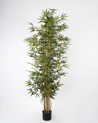 Artificial Tree 75*75*180cm bamboo*7in pp pot GS-30622013 Tree&Plant YeahFlower is one of Chinese leading OEM manufacturers and exporters , supplying the silk flowers, wholesale artificial trees