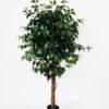 Artificial Tree 89*83*139cm banyan in pp pot /1008lvs GS-30622008-G1 Tree&Plant YeahFlower is one of Chinese leading OEM manufacturers and exporters , supplying the silk flowers, wholesale artificial trees