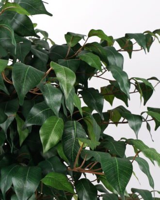 Artificial Tree 89*83*139cm banyan in pp pot /1008lvs GS-30622008-G1 Tree&Plant YeahFlower is one of Chinese leading OEM manufacturers and exporters , supplying the silk flowers, wholesale artificial trees