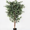 Artificial Tree 89*83*139cm banyan in pp pot /1008lvs GS-30622008 Tree&Plant YeahFlower is one of Chinese leading OEM manufacturers and exporters , supplying the silk flowers, wholesale artificial trees