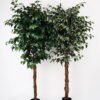 Artificial Tree 83*83*179cm banyan in pp pot /1260lvs GS-30622009 Tree&Plant YeahFlower is one of Chinese leading OEM manufacturers and exporters , supplying the silk flowers, wholesale artificial trees