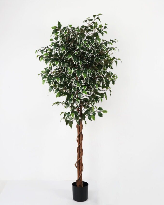 Artificial Tree 83*83*179cm banyan in pp pot /1260lvs GS-30622009 Tree&Plant YeahFlower is one of Chinese leading OEM manufacturers and exporters , supplying the silk flowers, wholesale artificial trees