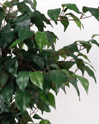 Artificial Tree 76*76*110cm banyan in pp pot /504lvs GS-30622007 Tree&Plant YeahFlower is one of Chinese leading OEM manufacturers and exporters , supplying the silk flowers, wholesale artificial trees