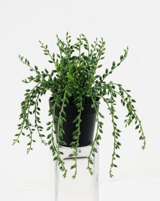 Artificial succulent 24*17cm Succulent plant in pe pot GS-05521184A Potted Flowers&Plants YeahFlower is one of Chinese leading OEM manufacturers and exporters , supplying the silk flowers, wholesale artificial trees