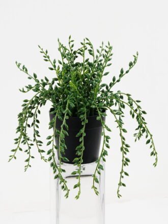 Artificial Plant 42*40cm Aloe in pp pot/10lvs GS-59522005 Potted Flowers&Plants 3,000+ sqm showroom with thousands of artificial flowers, plants & trees ready for global sourcing.