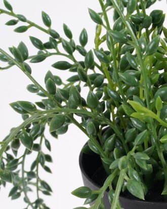 Artificial succulent 24*17cm Succulent plant in pe pot GS-05521184A Potted Flowers&Plants YeahFlower is one of Chinese leading OEM manufacturers and exporters , supplying the silk flowers, wholesale artificial trees