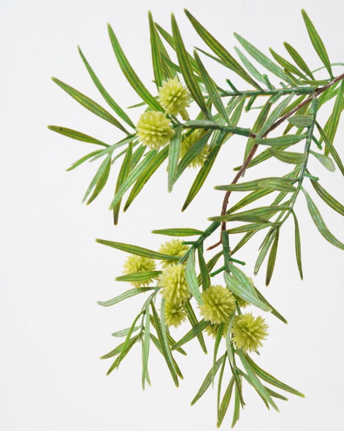 Artificial Flower 35*35*95cm Acacia rachii  Single stem GS-49622003 Single Flowers YeahFlower is one of Chinese leading OEM manufacturers and exporters , supplying the silk flowers, wholesale artificial trees