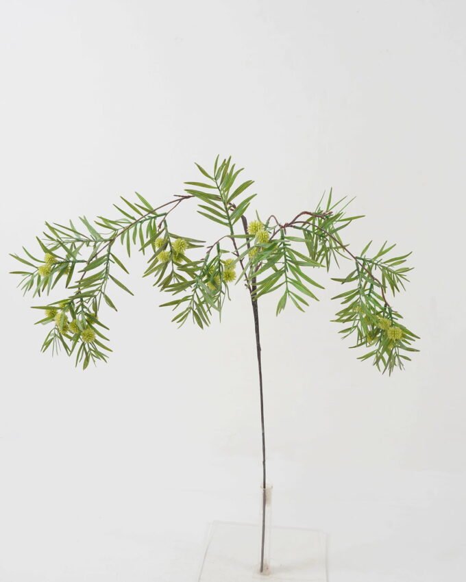 Artificial Flower 35*35*95cm Acacia rachii  Single stem GS-49622003 Single Flowers YeahFlower is one of Chinese leading OEM manufacturers and exporters , supplying the silk flowers, wholesale artificial trees