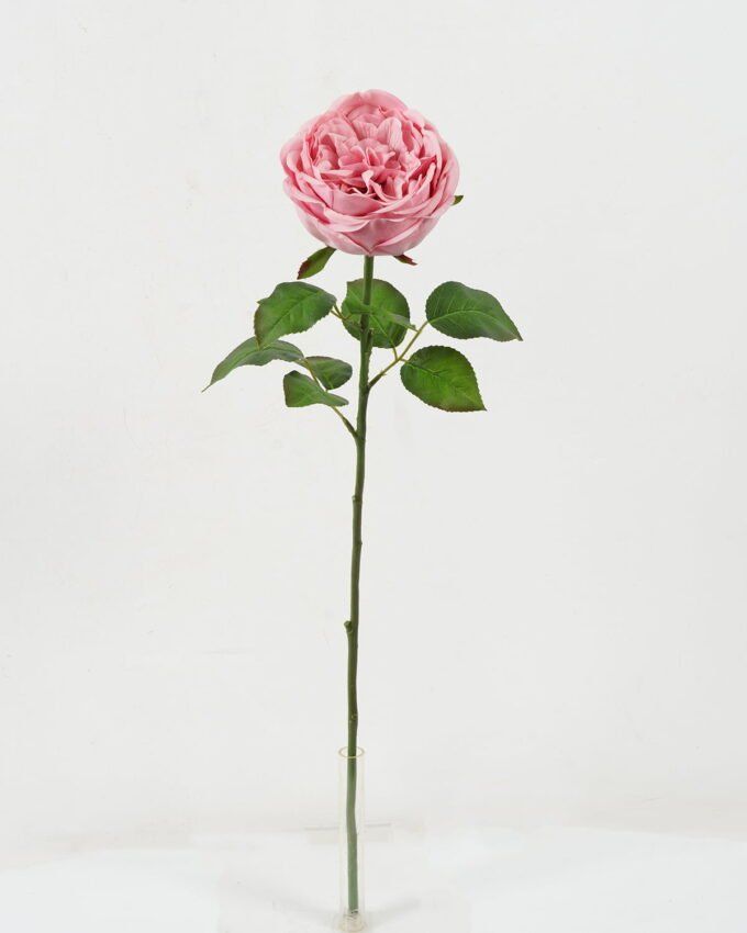 Artificial Flower 10*65cm Austin rose real touch GS-66222001-P1 Single Flowers YeahFlower is one of Chinese leading OEM manufacturers and exporters , supplying the silk flowers, wholesale artificial trees