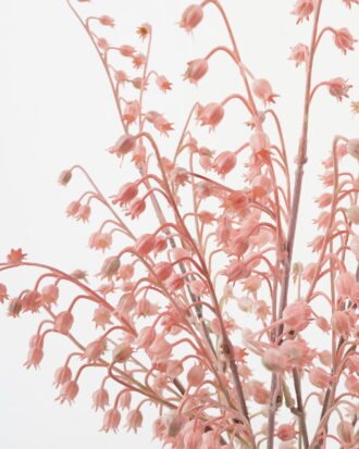 Artificial Flower 23*23*37cm Convallaria*5 bundle GS-49622013-P1 Bouquet YeahFlower is one of Chinese leading OEM manufacturers and exporters , supplying the silk flowers, wholesale artificial trees