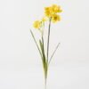 Artificial Flower Daffodil 2 single stem GS-35122002_4 Artificial Flower 18*18*63cm Daffodil *2 single stem GS-35122002 Single Flowers YeahFlower is one of Chinese leading OEM manufacturers and exporters , supplying the silk flowers, wholesale artificial trees