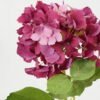 Artificial Flower 19*52cm Hydrange*72 real touch GS-66222002 Single Flowers YeahFlower is one of Chinese leading OEM manufacturers and exporters , supplying the silk flowers, wholesale artificial trees