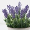 Artificial Flower Lavender Metal pot GS-03322072_8 Artificial Flower 21*21*25cm Lavender Metal pot GS-03322072 Potted Flowers&Plants YeahFlower is one of Chinese leading OEM manufacturers and exporters , supplying the silk flowers, wholesale artificial trees