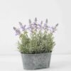 Artificial Flower 28*16*28cm Lavender in Metal pot GS-03322055 Potted Flowers&Plants YeahFlower is one of Chinese leading OEM manufacturers and exporters , supplying the silk flowers, wholesale artificial trees
