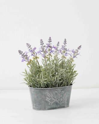 Artificial Flower 28*16*28cm Lavender in Metal pot GS-03322055 Potted Flowers&Plants YeahFlower is one of Chinese leading OEM manufacturers and exporters , supplying the silk flowers, wholesale artificial trees Artificial Flower 28*16*28cm Lavender in Metal pot GS-03322055 Potted Flowers&Plants YeahFlower is one of Chinese leading OEM manufacturers and exporters , supplying the silk flowers, wholesale artificial trees