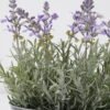 Artificial Flower 28*16*28cm Lavender in Metal pot GS-03322055 Potted Flowers&Plants YeahFlower is one of Chinese leading OEM manufacturers and exporters , supplying the silk flowers, wholesale artificial trees