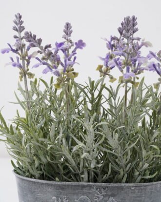 Artificial Flower 28*16*28cm Lavender in Metal pot GS-03322055 Potted Flowers&Plants YeahFlower is one of Chinese leading OEM manufacturers and exporters , supplying the silk flowers, wholesale artificial trees Artificial Flower 28*16*28cm Lavender in Metal pot GS-03322055 Potted Flowers&Plants YeahFlower is one of Chinese leading OEM manufacturers and exporters , supplying the silk flowers, wholesale artificial trees