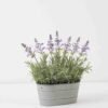 Artificial Flower 28*16*28cm Lavender in Metal pot GS-03322055 Potted Flowers&Plants YeahFlower is one of Chinese leading OEM manufacturers and exporters , supplying the silk flowers, wholesale artificial trees